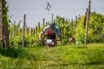 18° Cross Country Tra Le Torri 2025